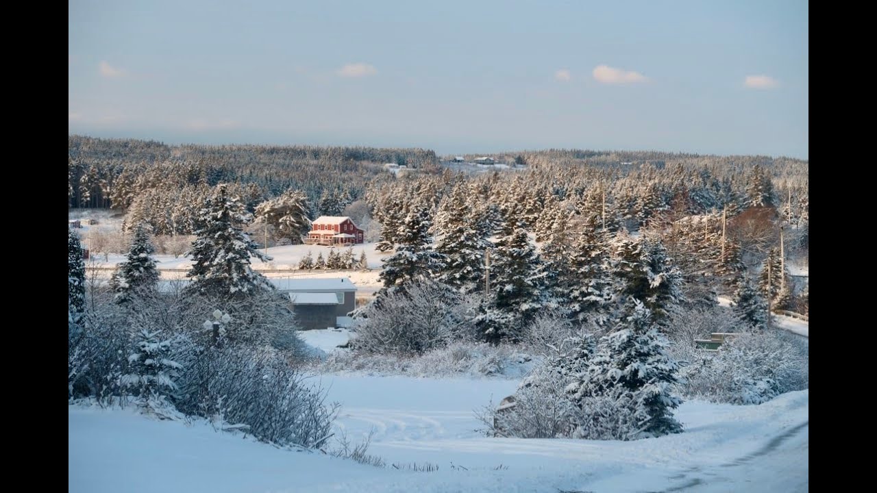 Sturmschäden: Ein kanadischer Winterspaziergang.