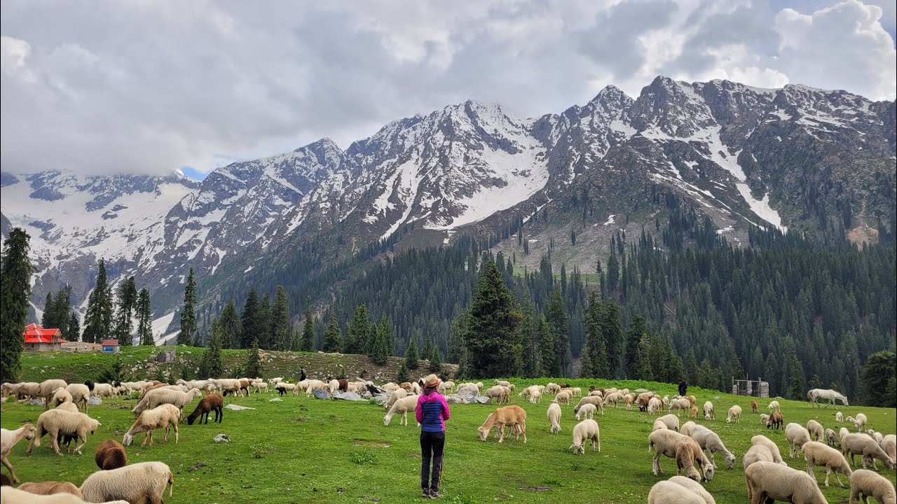 🇵🇰 Ep 7 Jahaz Banda Trek – The Ultimate Kumrat Valley Adventure | Upper Dir (Part 1)