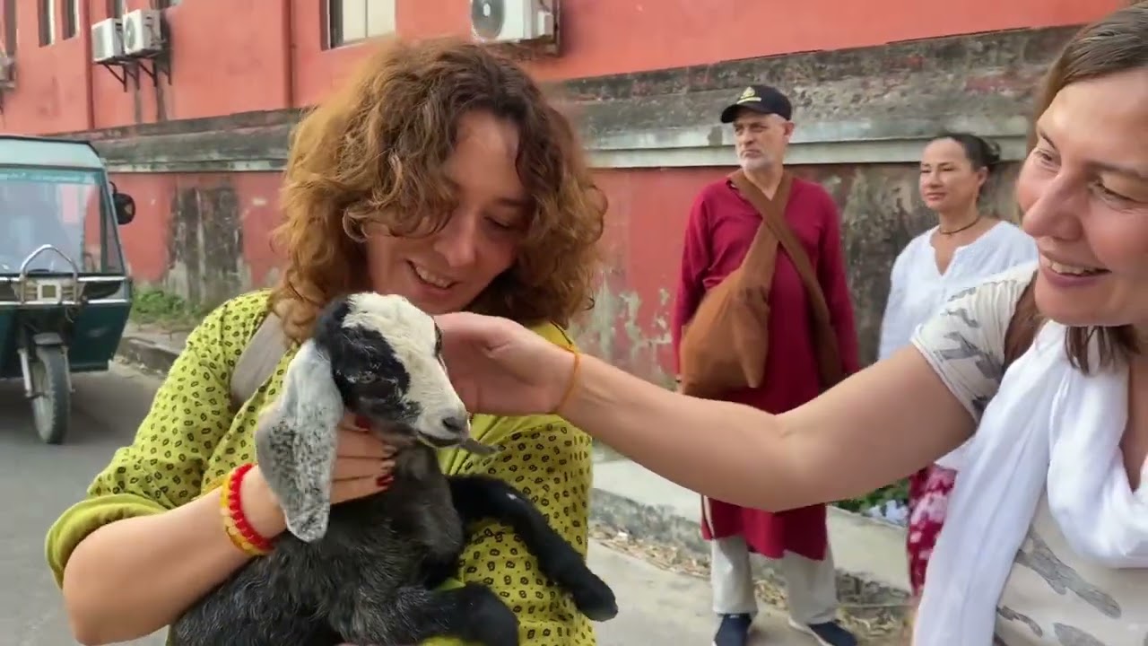 ИНДИЯ. просто почувствуйте. Видео наполнено любовью и не требует слов ❤️ 