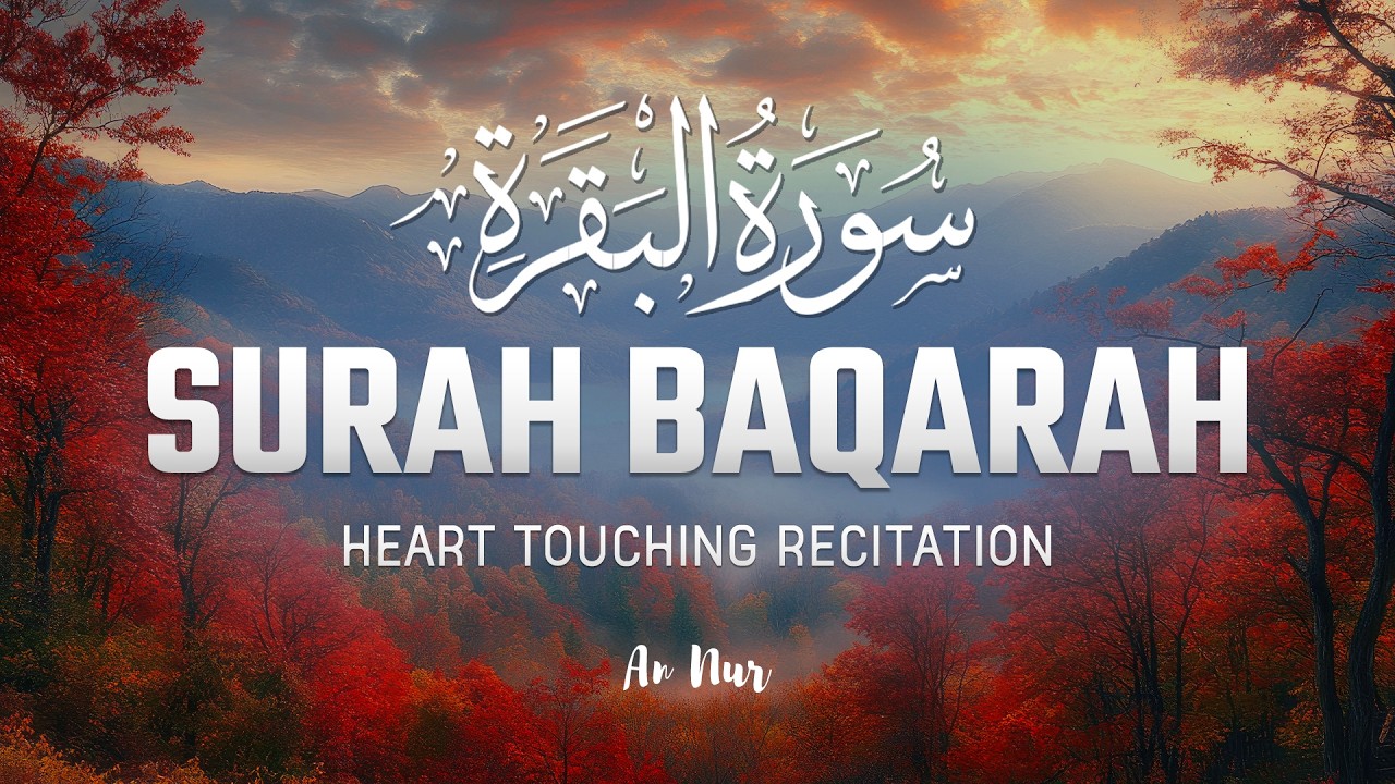 Surah Al-Baqarah (سورة البقرة)| Most Beautiful Quran Recitation for Peace, Mercy & Divine Protection