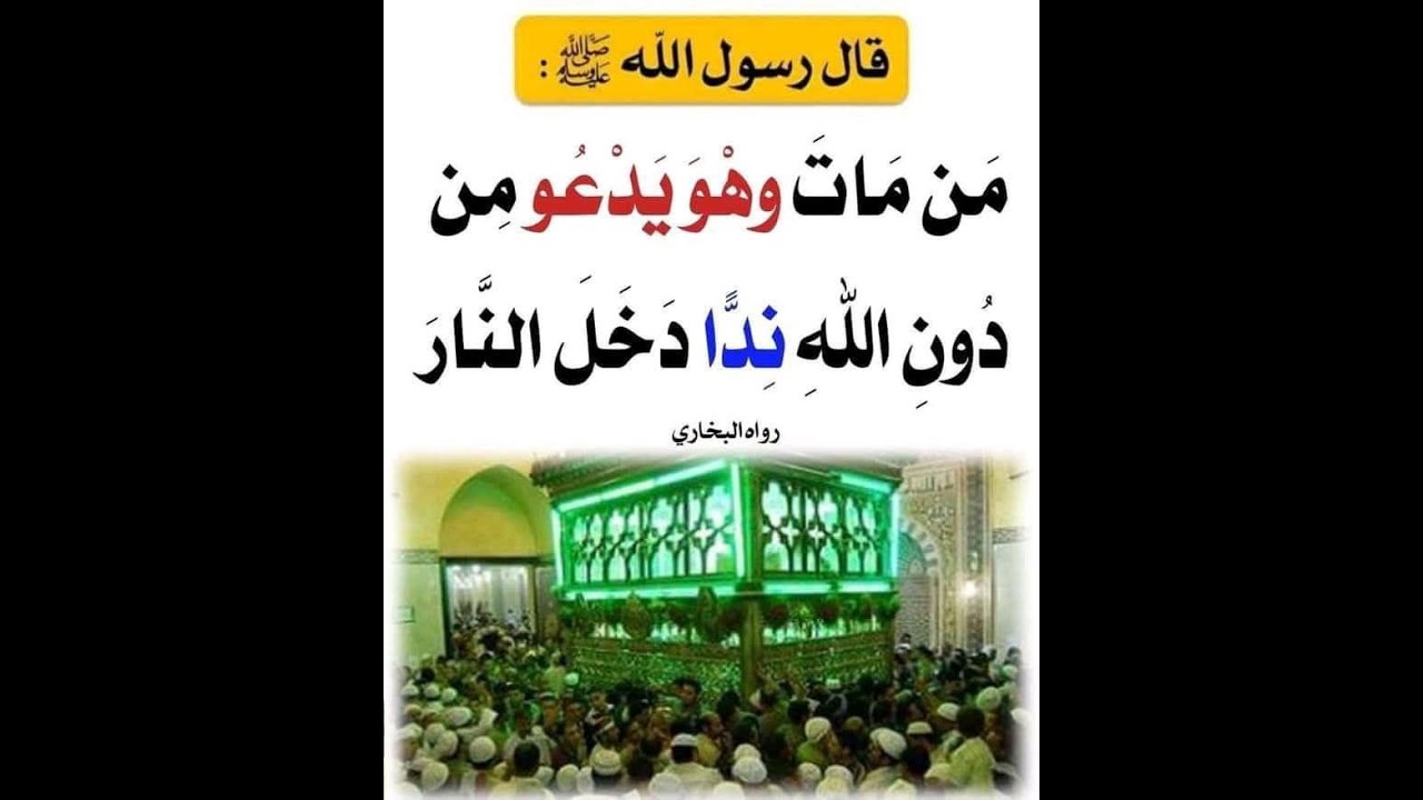 الذاريات إلى سورة الرحمن جل وعلا لعبدالله بن محمد بن خليفة القماح محاضرسابق جامعةتبوك اسلامي قران 