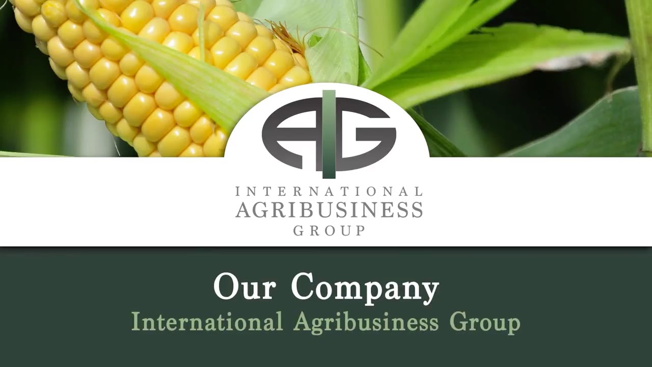 Our Company