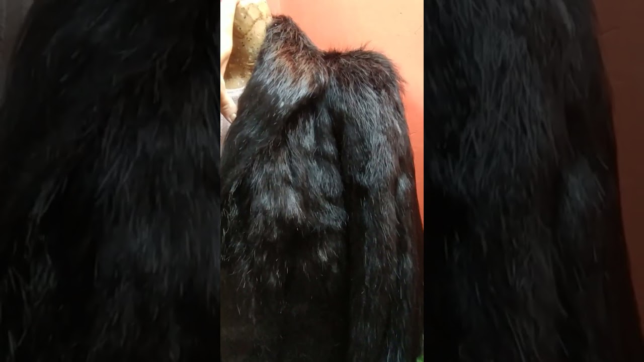 Abrigo Chaqueta Tapado de piel Negro Pelo largo talle L Muy Suave Gala Moda Circular