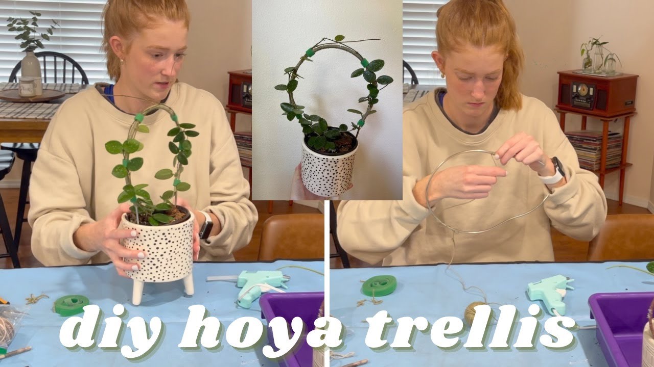DIY Hoya Trellis | how to make a hoya trellis, hoya trellis tutorial, hoya chat