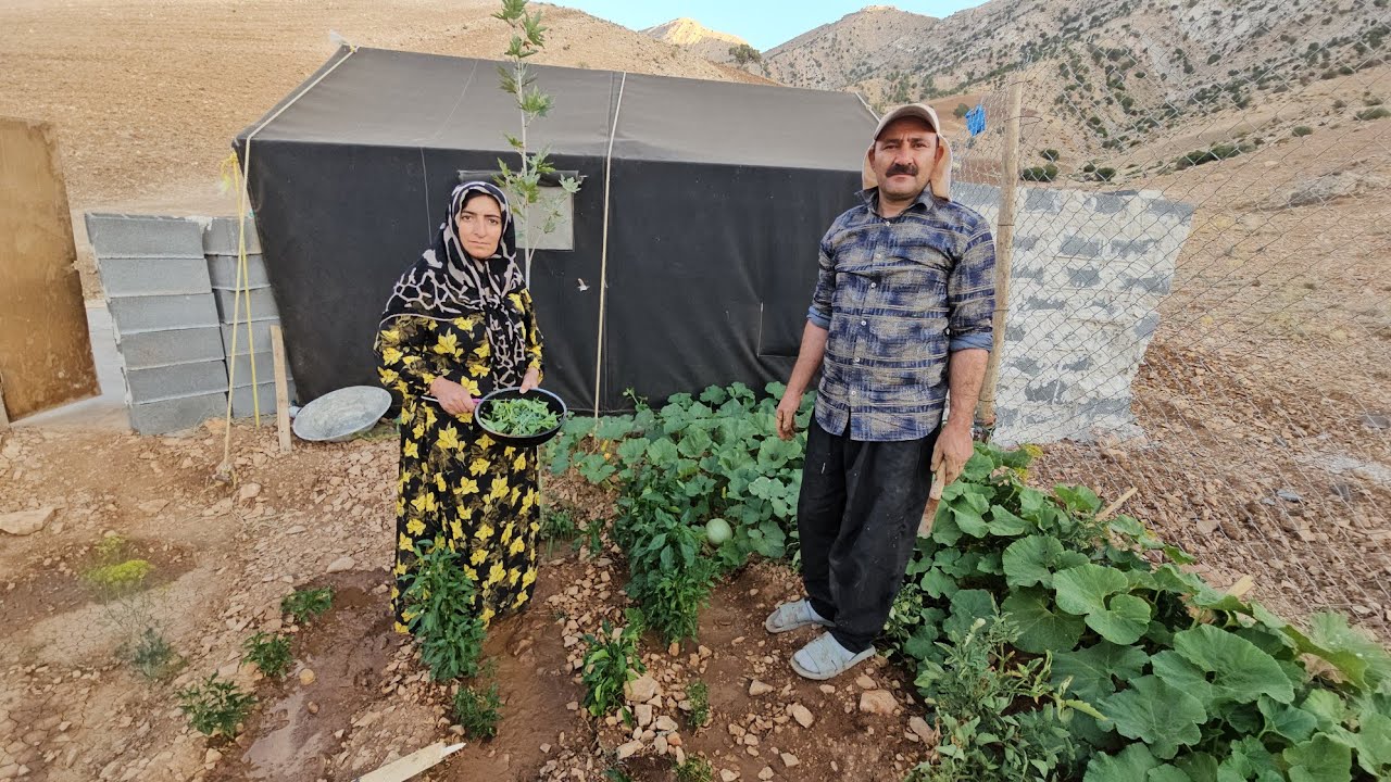 Ahmad and Farideh's garden came to life; is this the beginning of better days?
