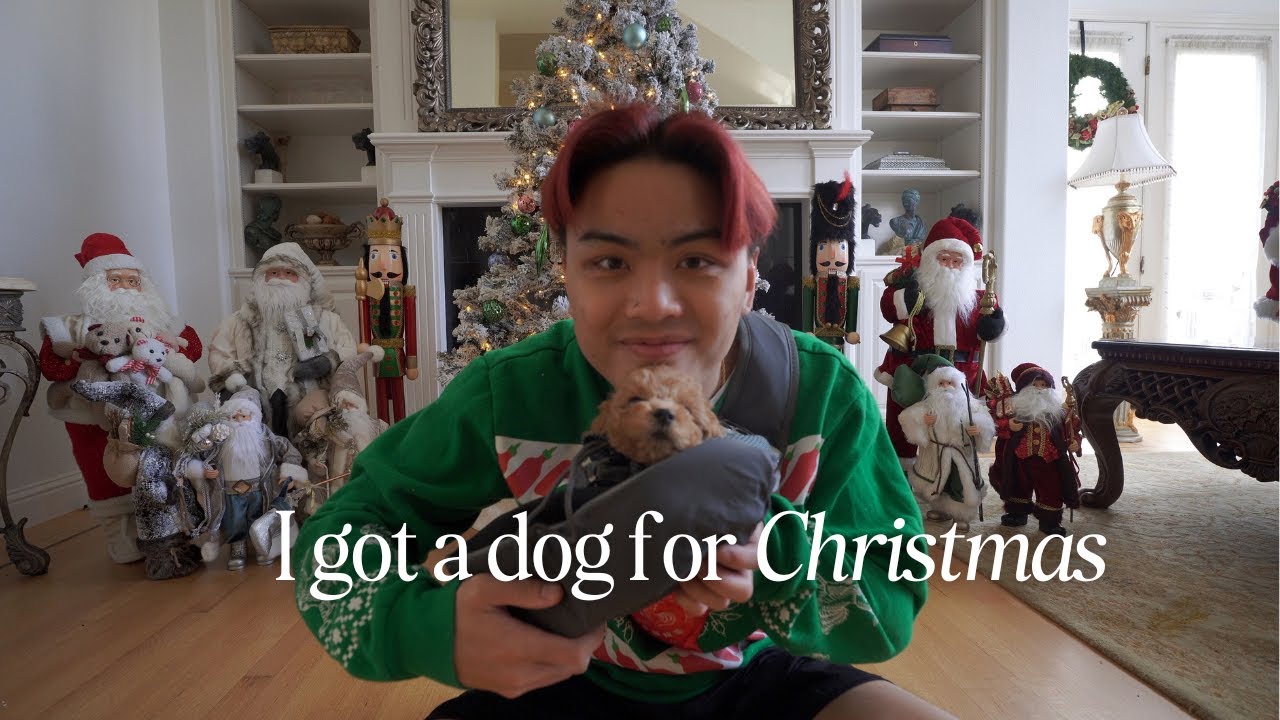 I got a dog for Christmas 🐩 | VLOGMAS