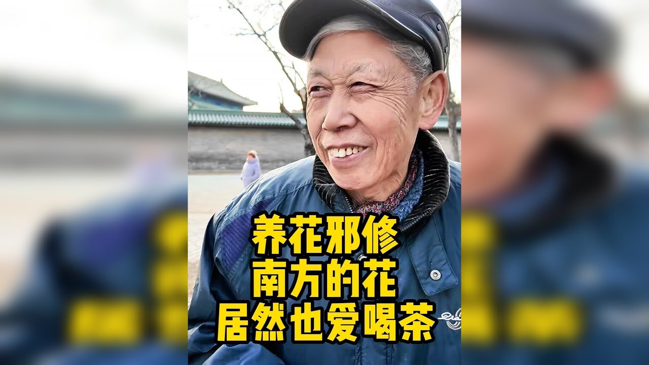 北京大爷百事通，养花也有邪修，南方的什么花儿爱喝茶
