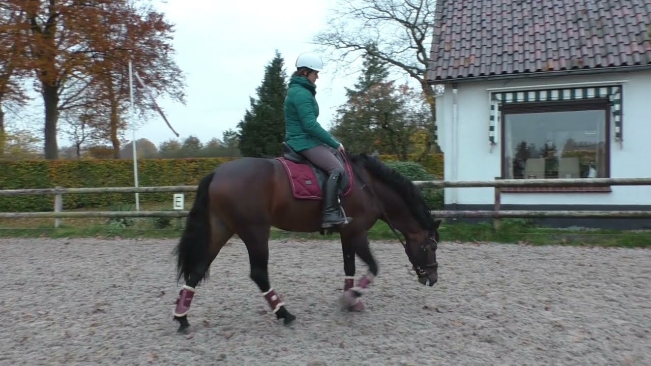 Ontspan de rug van je paard en het hoofd komt vanzelf omlaag!