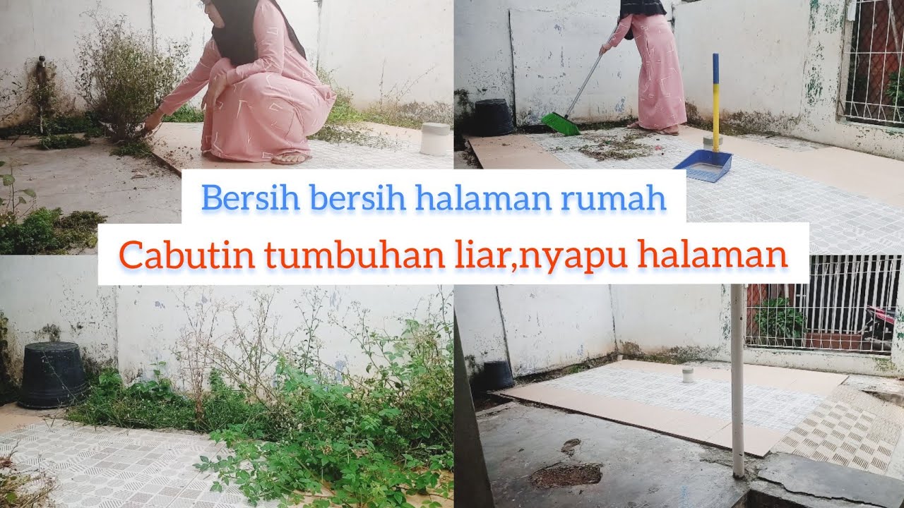 bersih bersih halaman rumah || cabutin tumbuhan liar,nyapu halaman