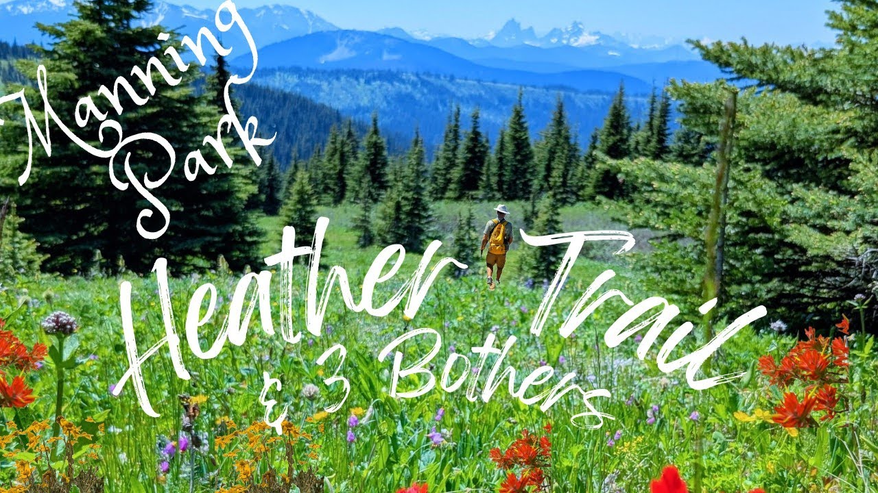 The meadows of Three Brothers Mountain, Heather Trail, EC Manning Park