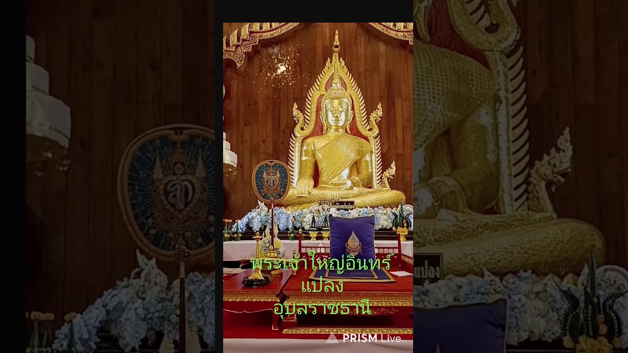 การถ่ายทอดสดของ สายธรรมนำชีวิต
