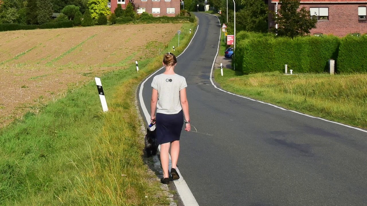 Module 1.3 Exiting a Private Road or Driveway