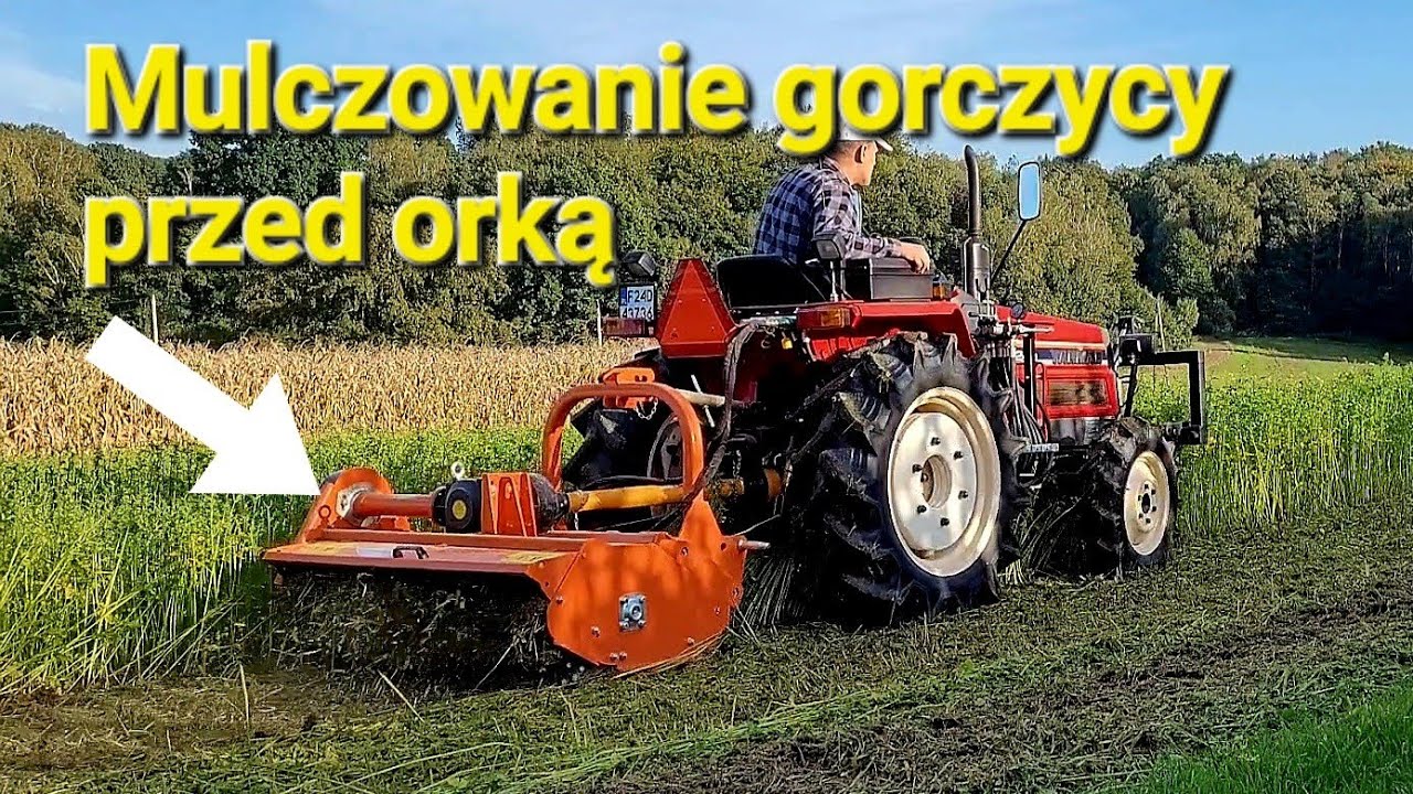 Mulczowanie gorczycy kosiarką bijakową Yanmar F24d & Geograss EFGCH-125