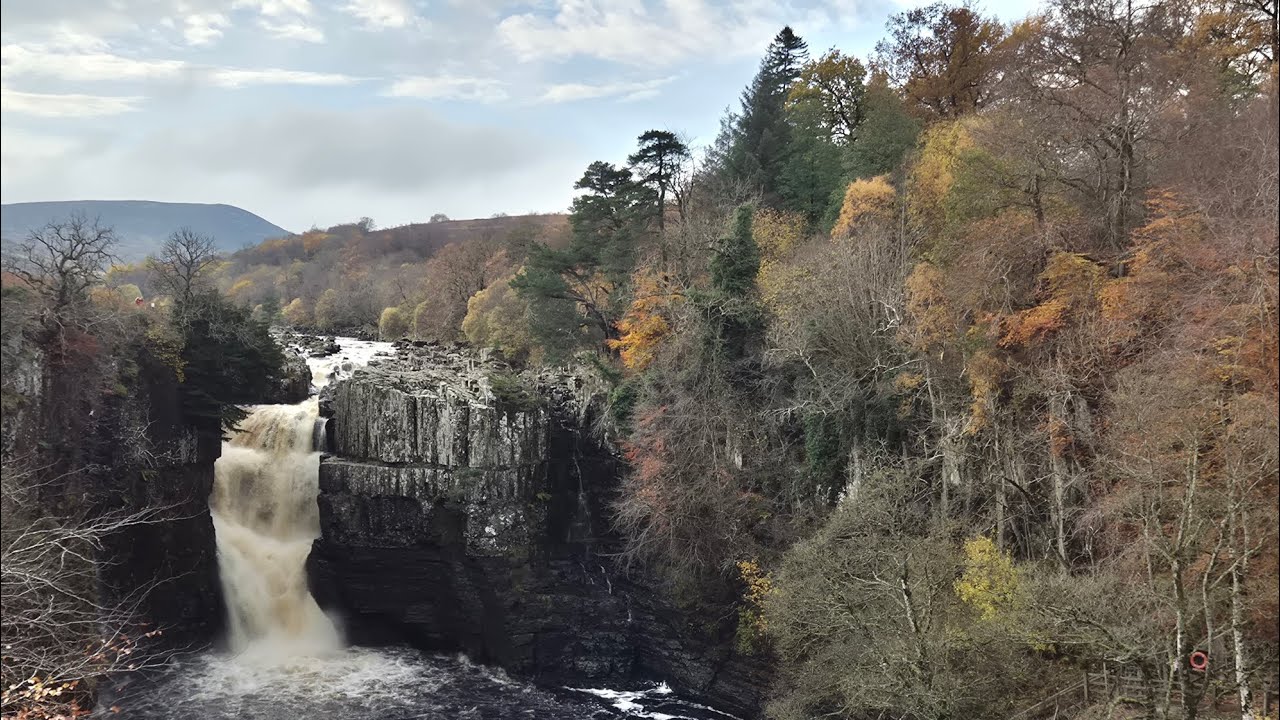 One man and his dog. Teesdale.