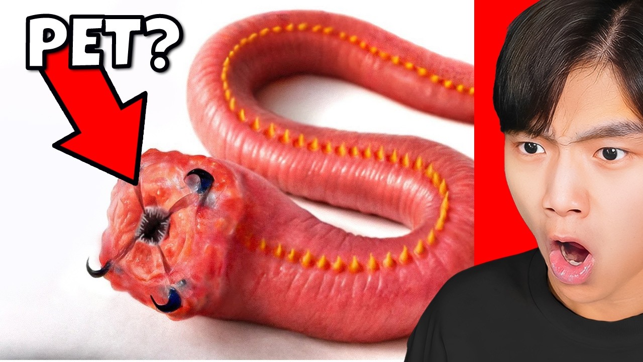 What's it Like Having a PET Bloodworm?