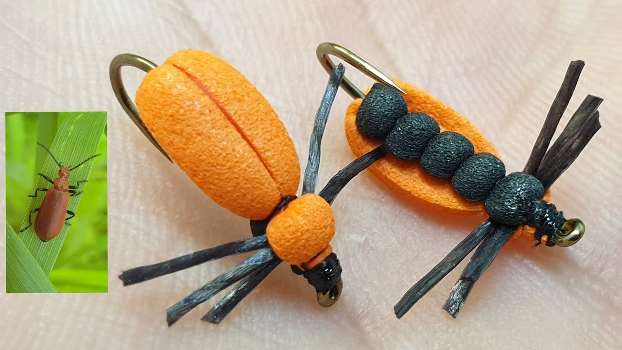 Fire-coloured beetle