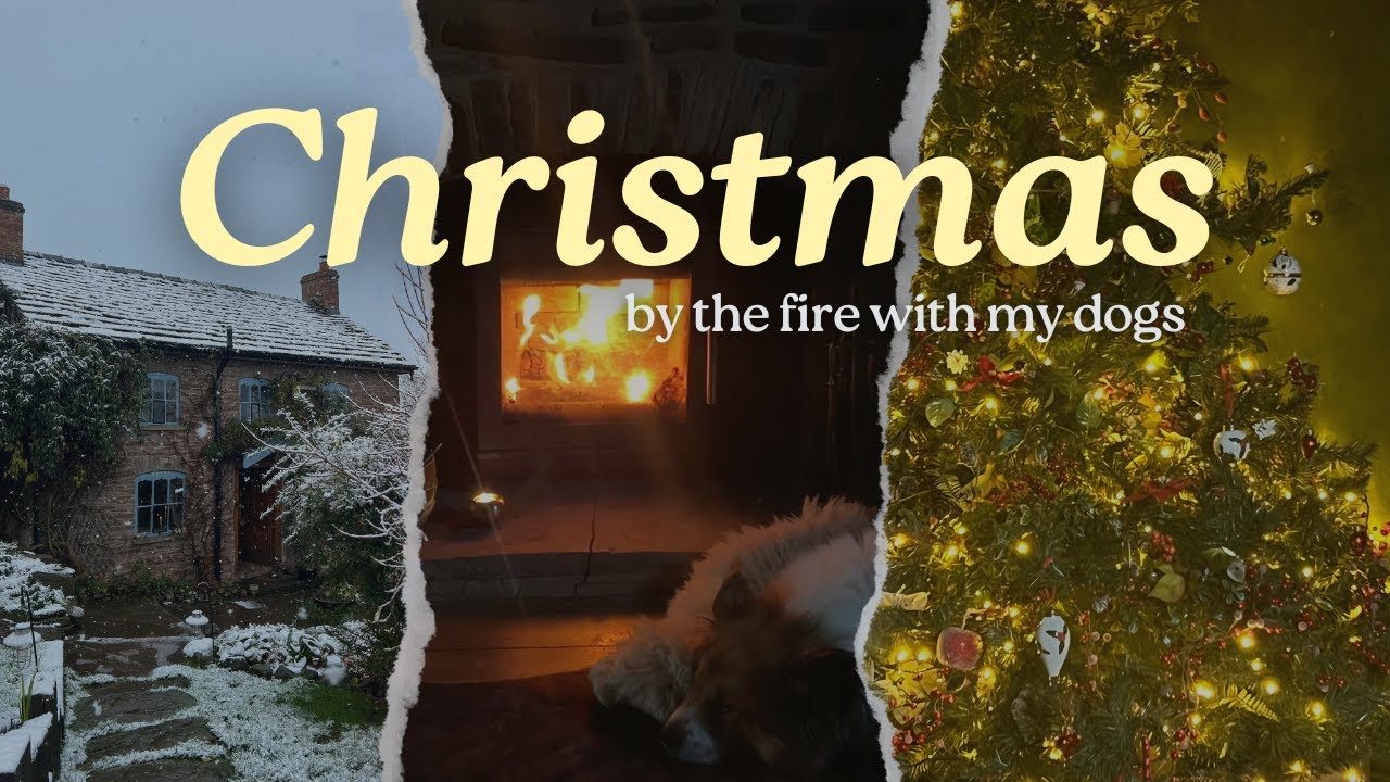 Cozy evening by the Christmas tree & Christmas Fireplace - Background,Relaxing,ASMR & Christmas Jazz