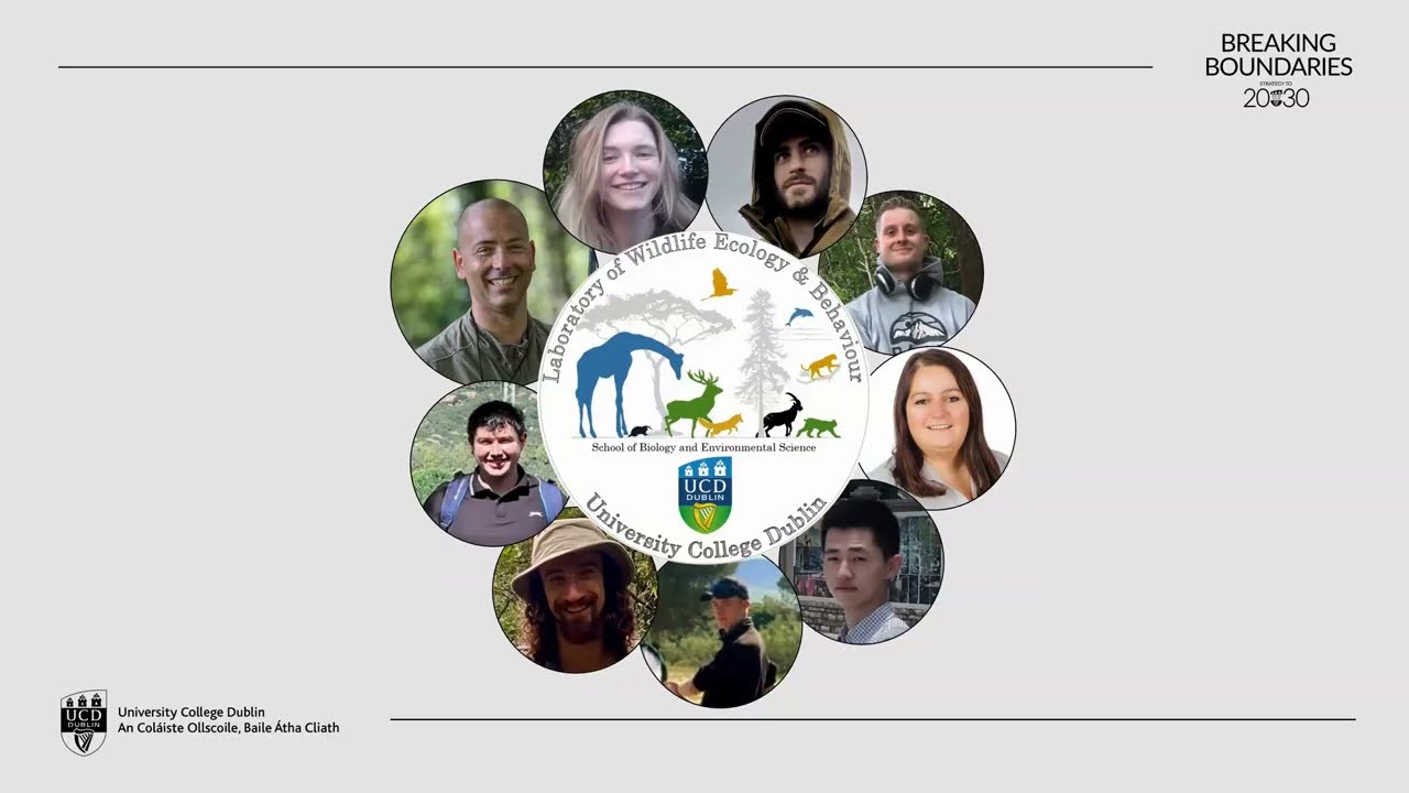 Managing wildlife at the intersection between nature, agriculture and forestry