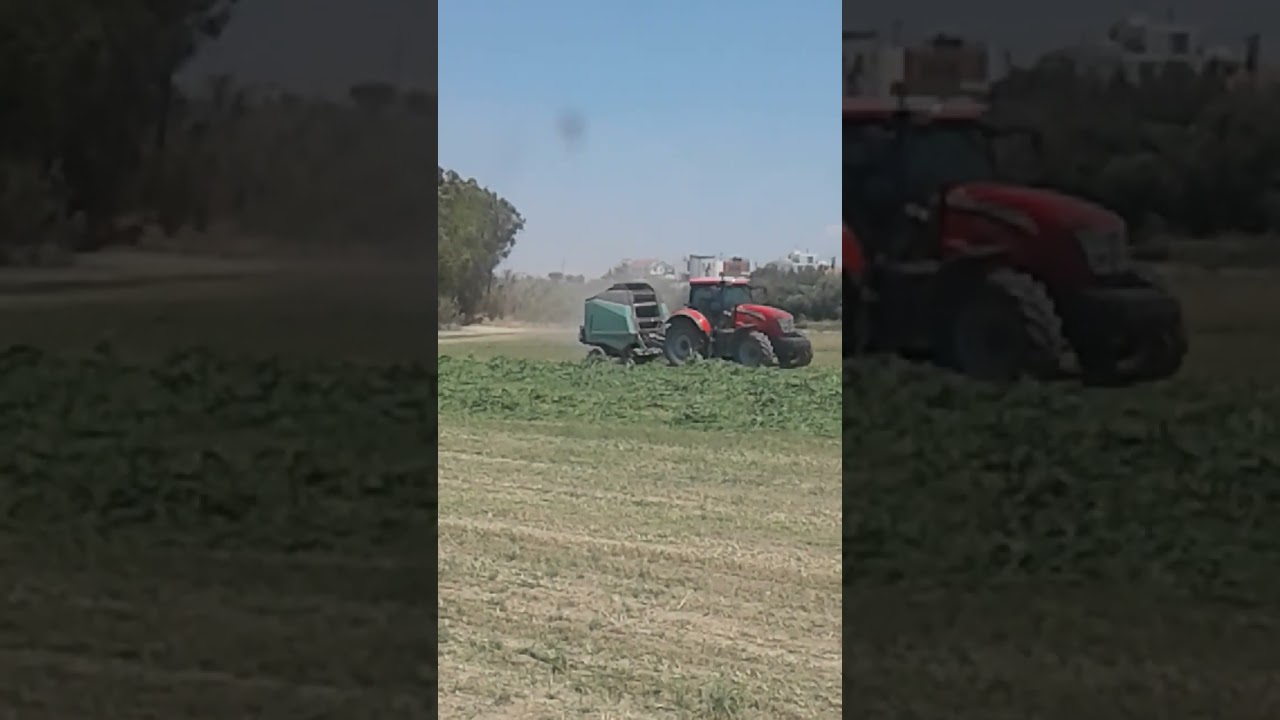 farm wark in Cyprus agriculture