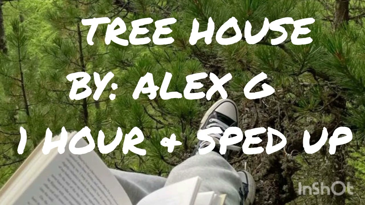Tree house!! sped up & 1 hour!