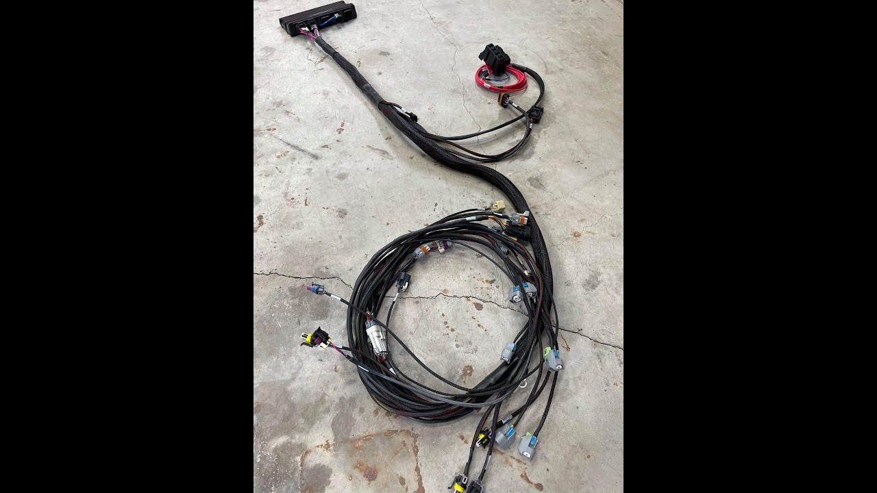 LSX Specialties Custom Holley engine harness