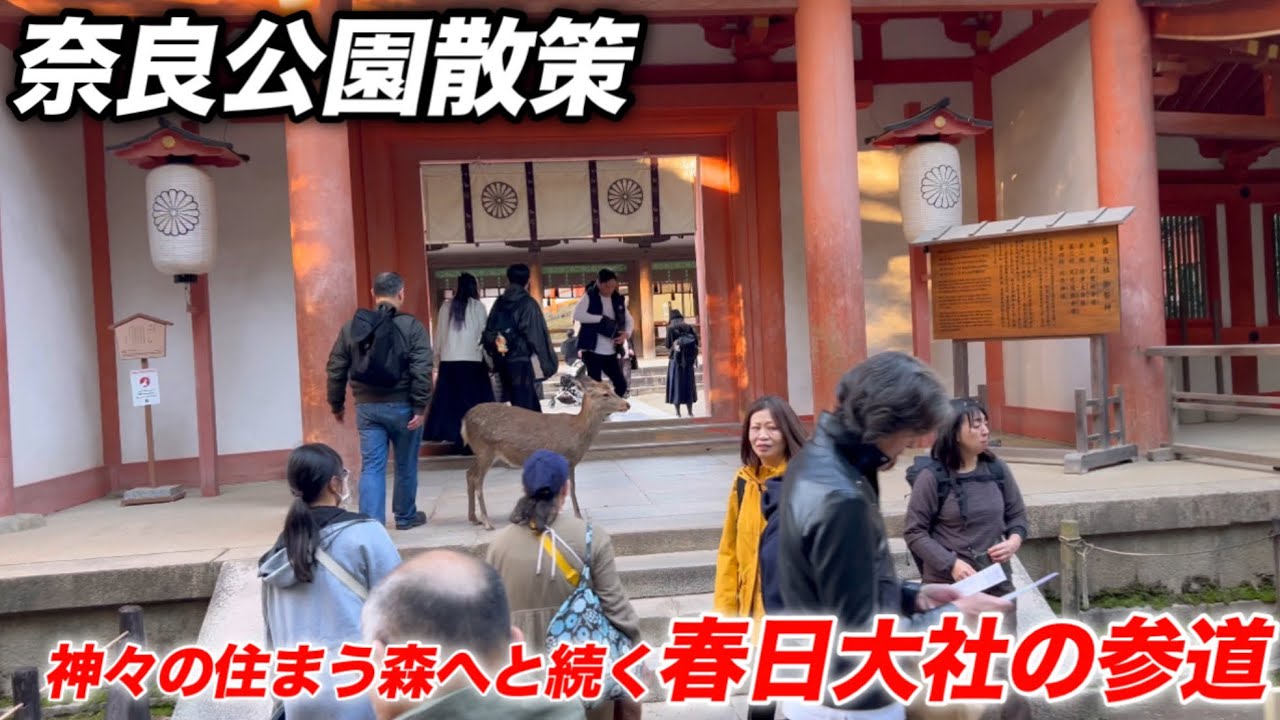 11/30奈良公園散策　春日大社の参道