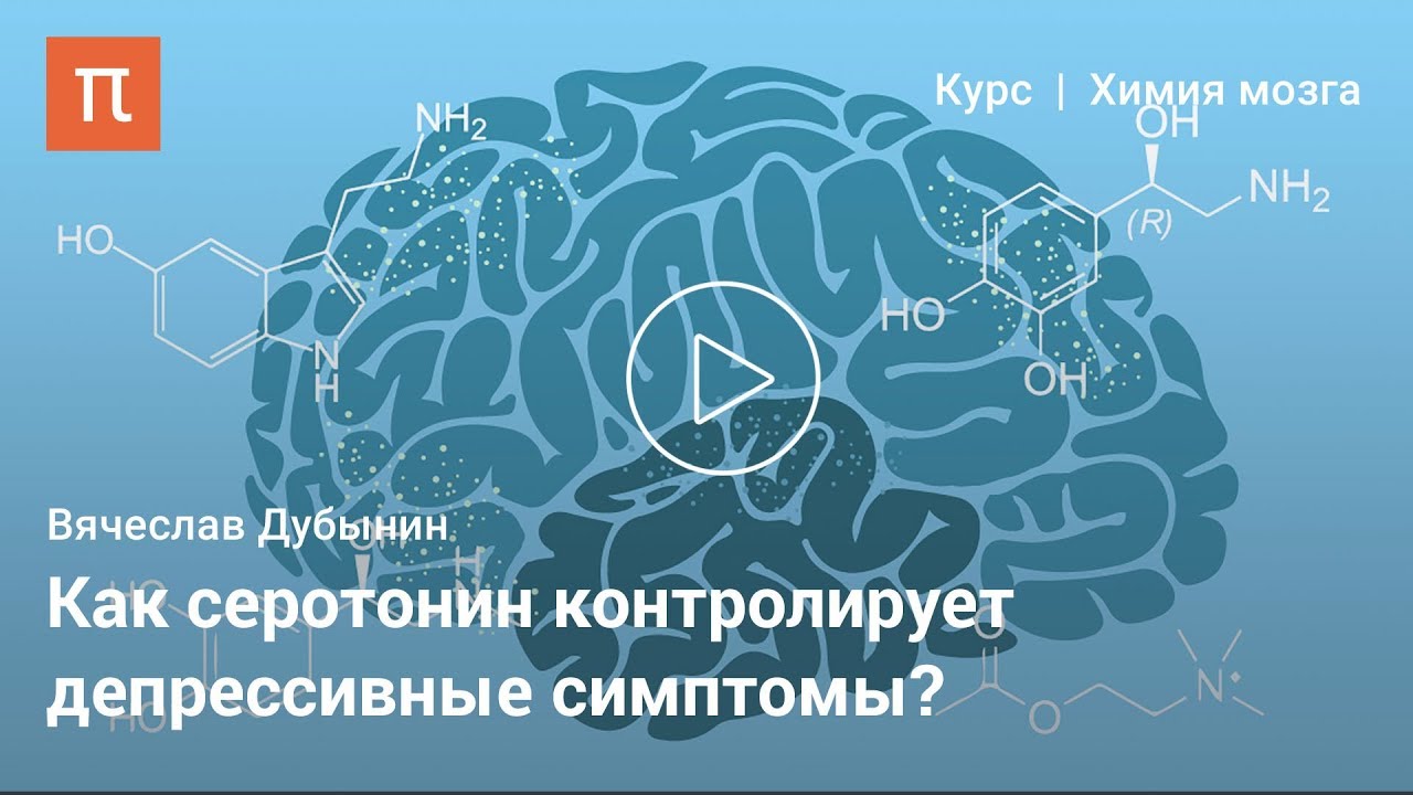 Серотонин — Вячеслав Дубынин на ПостНауке