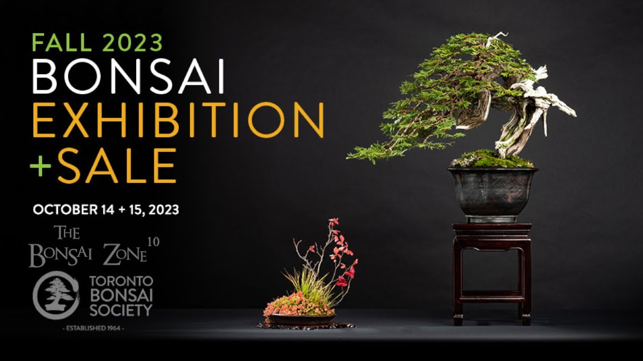 Toronto Bonsai Society's 2023 Fall Show and Sale, The Bonsai Zone, Oct 2023