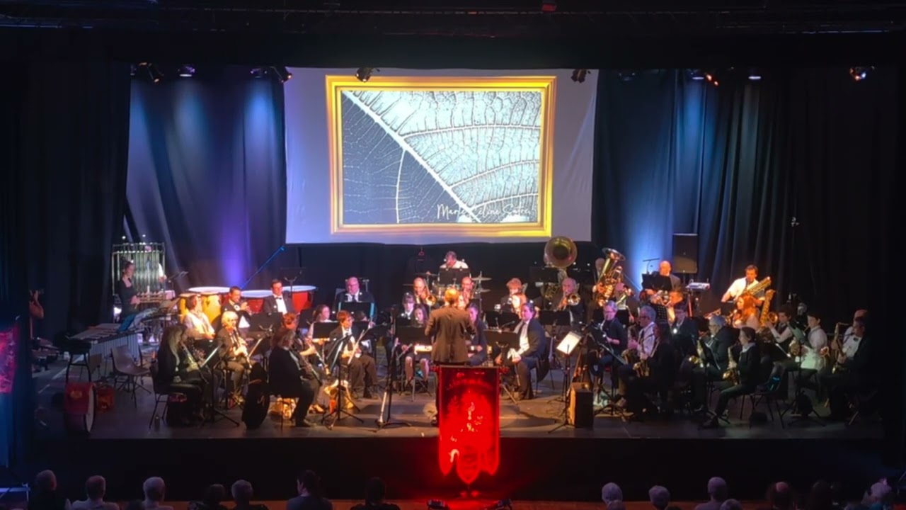 2-ème tableau: la musique classique.