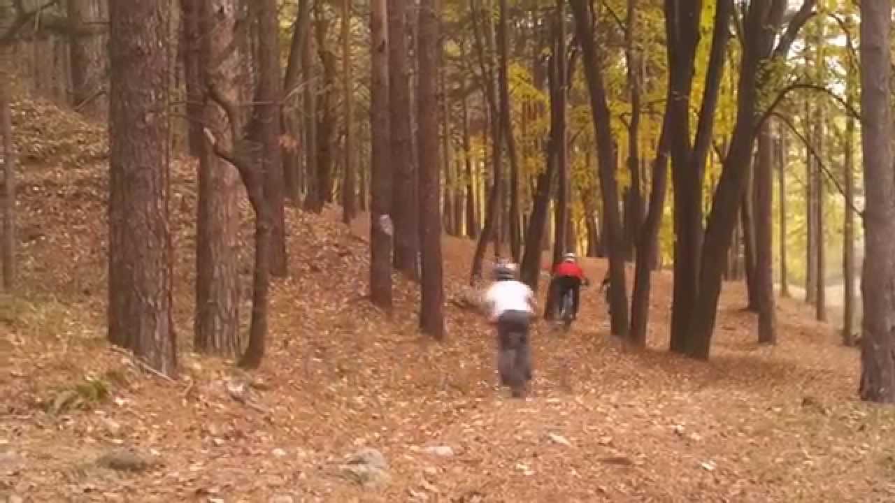 Downhill Shambhala - Sopot Bulgaria 2014 (2)