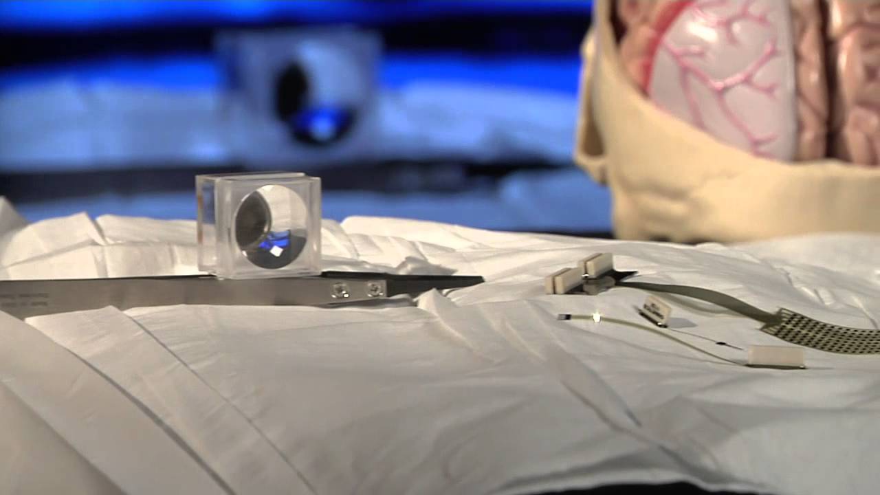 Unlocking the brain's mysteries: Meet the bioengineers behind next-generation neural devices