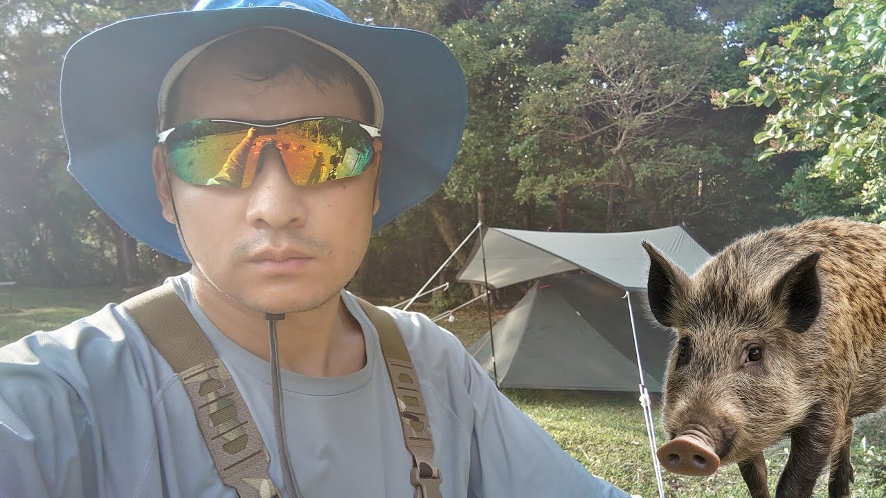 Solo camping for the first time. Encounter with wild hog.