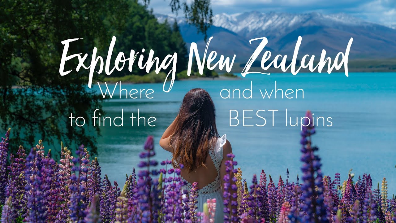Почему вам НУЖНО посетить НОВУЮ ЗЕЛАНДИЮ весной! 🇳🇿