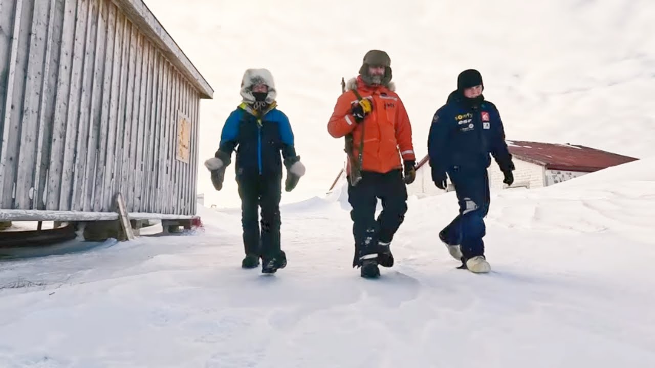 Adventure in the arctic, Polar bear break in on Herschel island. #arcticocean