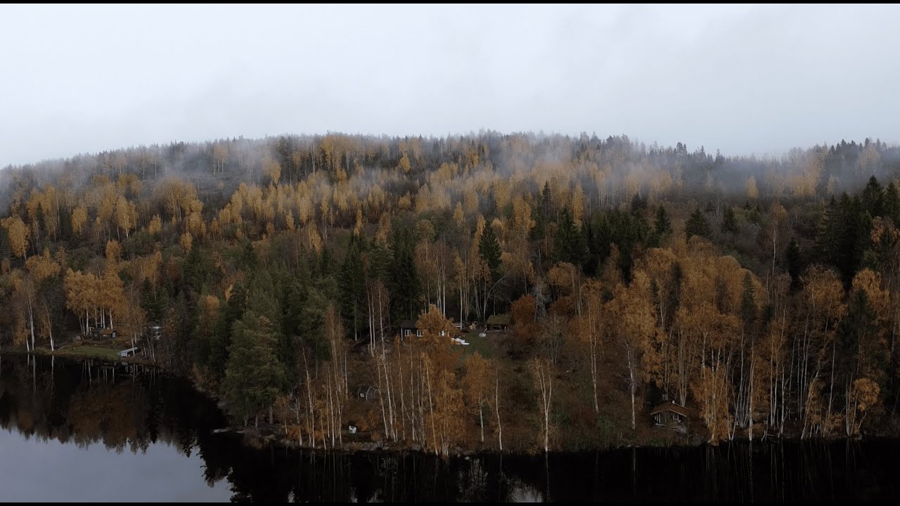 #30 На озере наступила осень. Ремонт домика в Швеции.