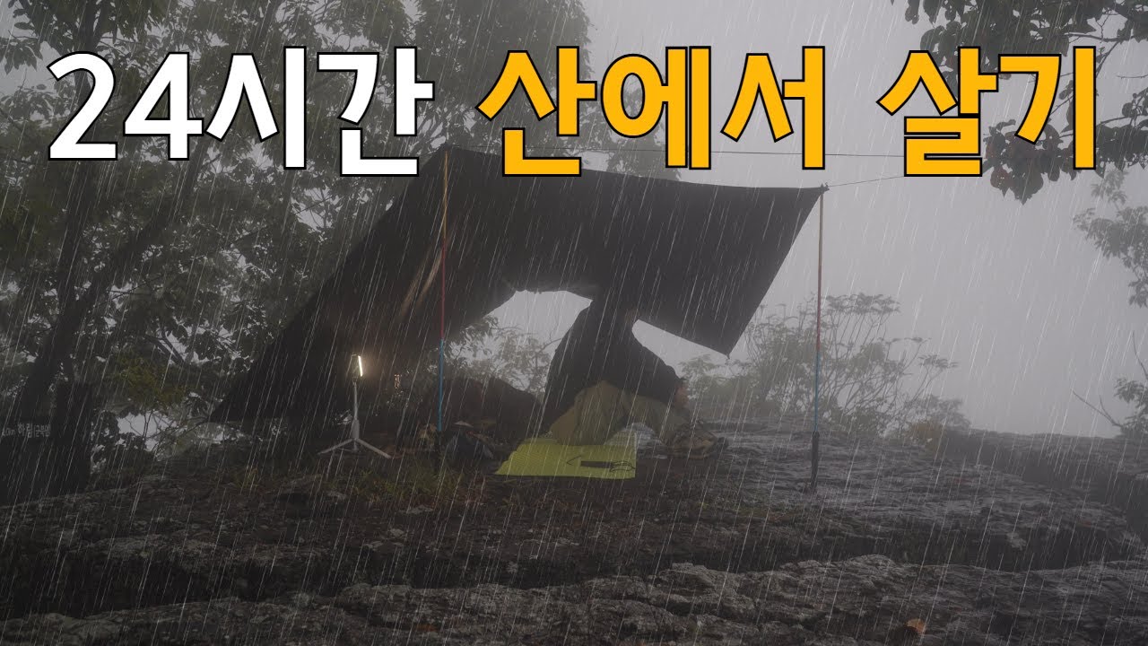 24시간 텐트 없이 산에서 살아보기