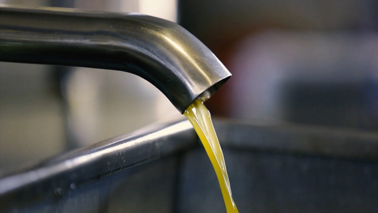 Our olive oil, our soul