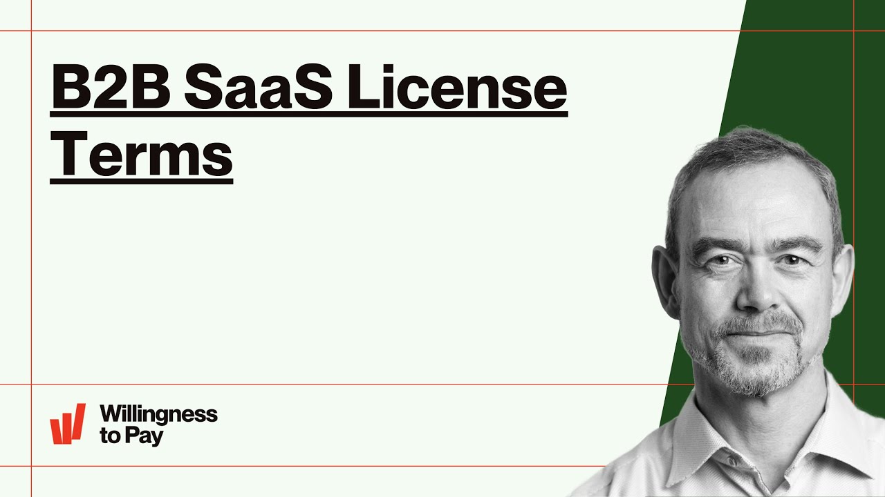 B2B SaaS License Terms