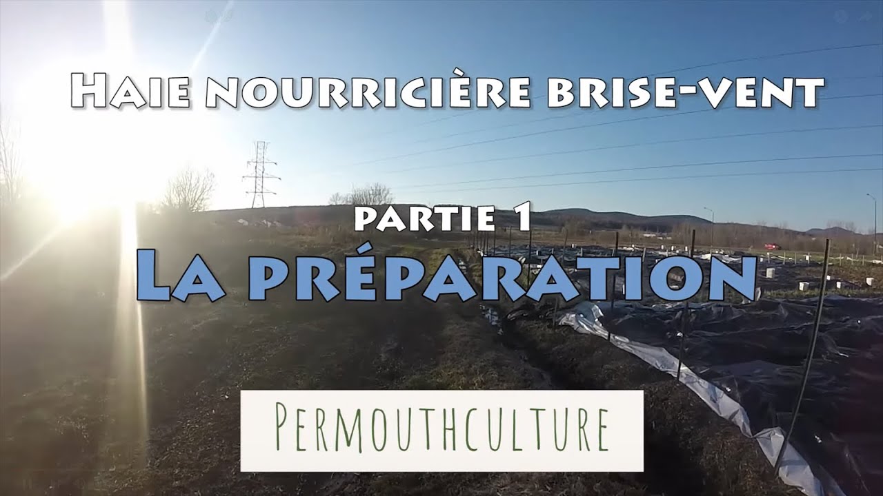 Planter une haie nourrici&egrave;re brise-vent 🌳🌿 [1/3]