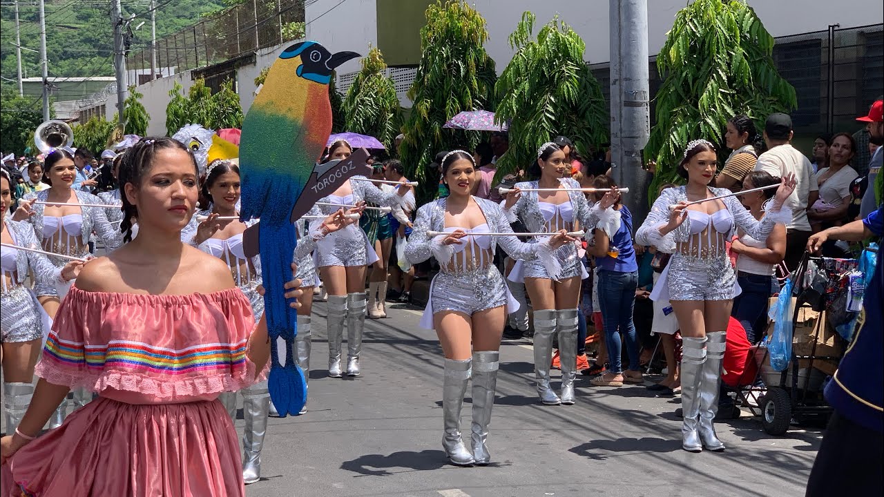 Desfile 15 De Septiembre 2024 ( INSAVI ) San Vicente, El Salvador.