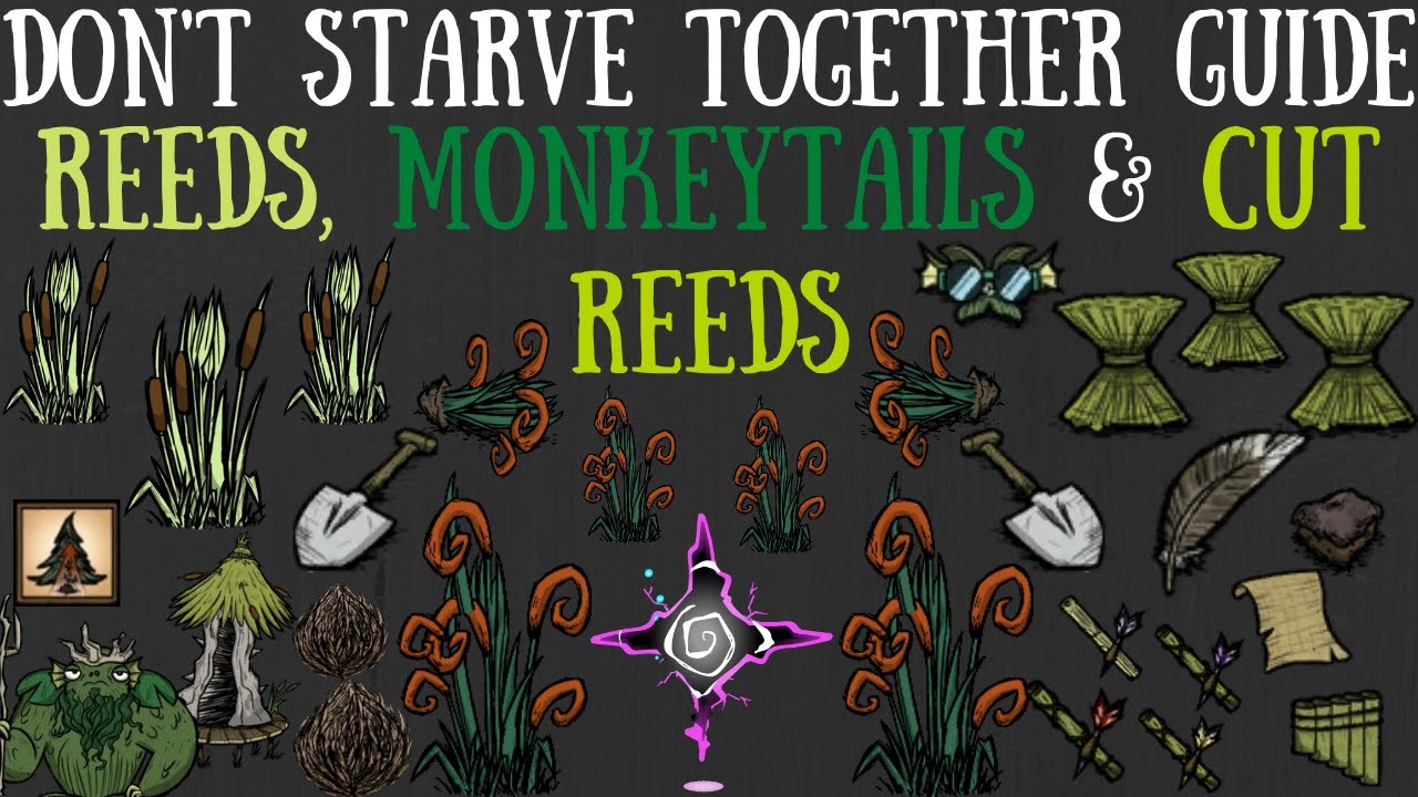 Don't Starve Together Guide: Reeds, Monkeytails & Cut Reeds