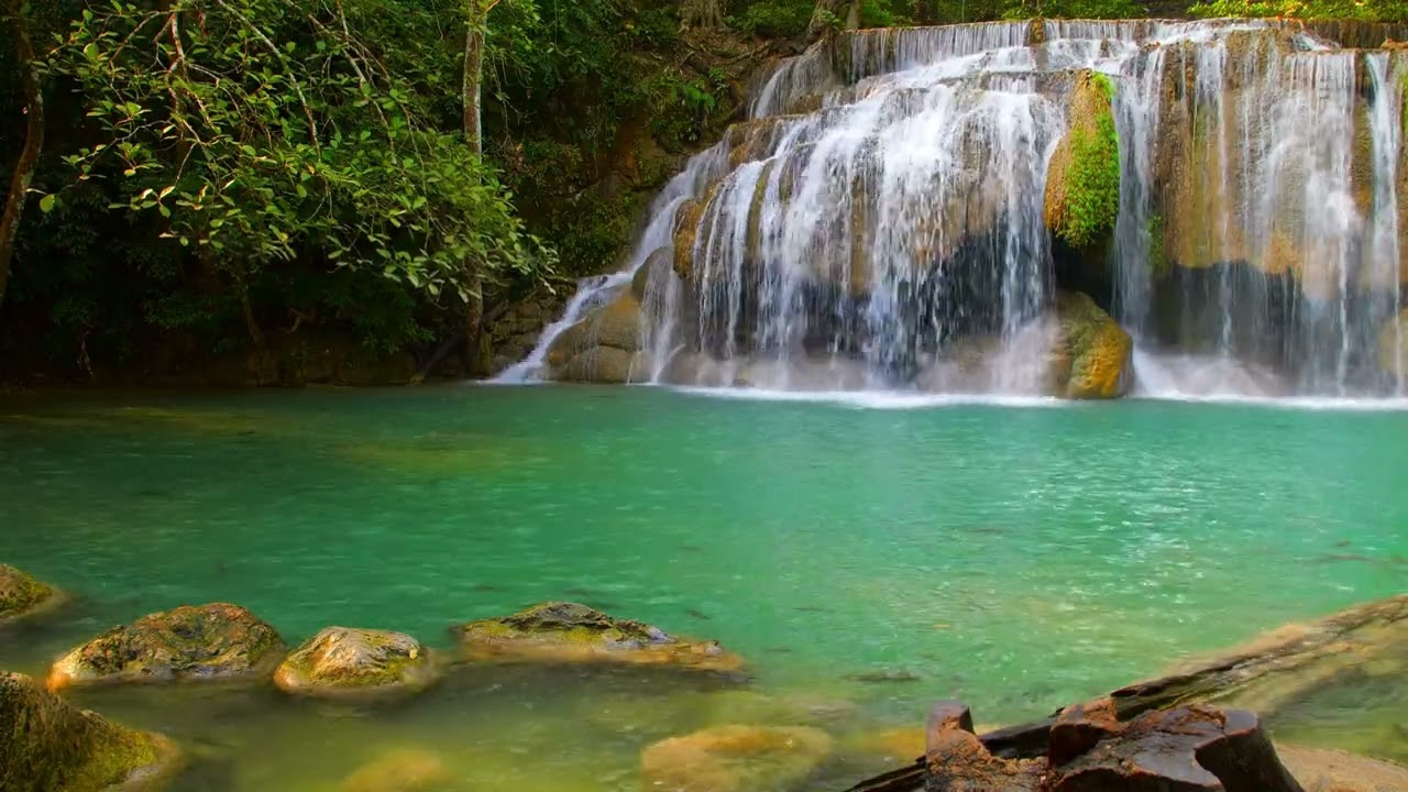 5-Minute Mindfulness: Daily Meditations for Stress Relief 255