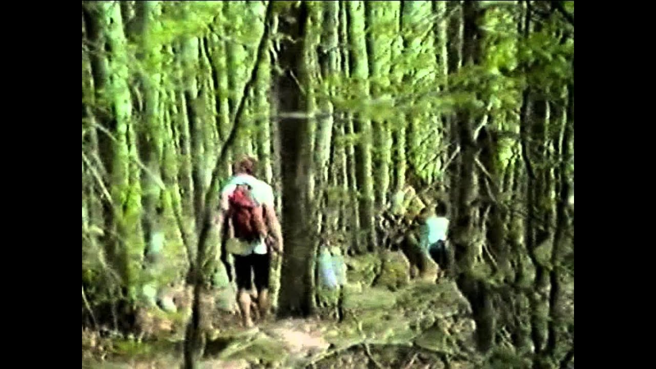 (1) LAGONI-BOSCHI DI CORNIGLIO.(avi)