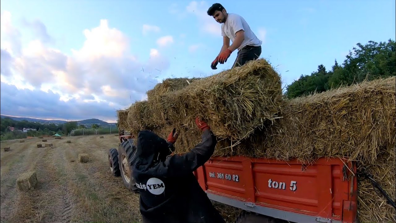 YULAF BAYLASI TAŞIYORUZ [GoPro]