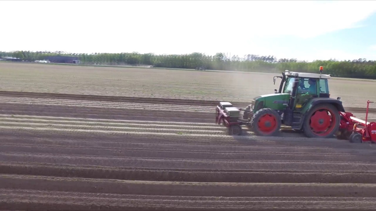 🥔Přihrnování brambor🥔 |Fendt 412 Vario + Grimme GF 75-4|