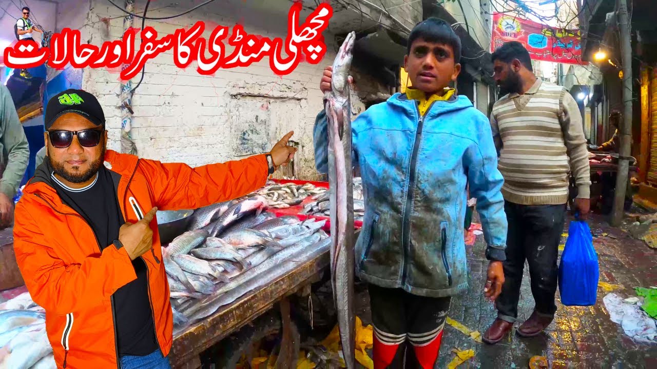 Incredible Ride Home to Fish Market Lahore || Ghar Say Machli Mandi Lahore  ka Safar || W.A || (4k)
