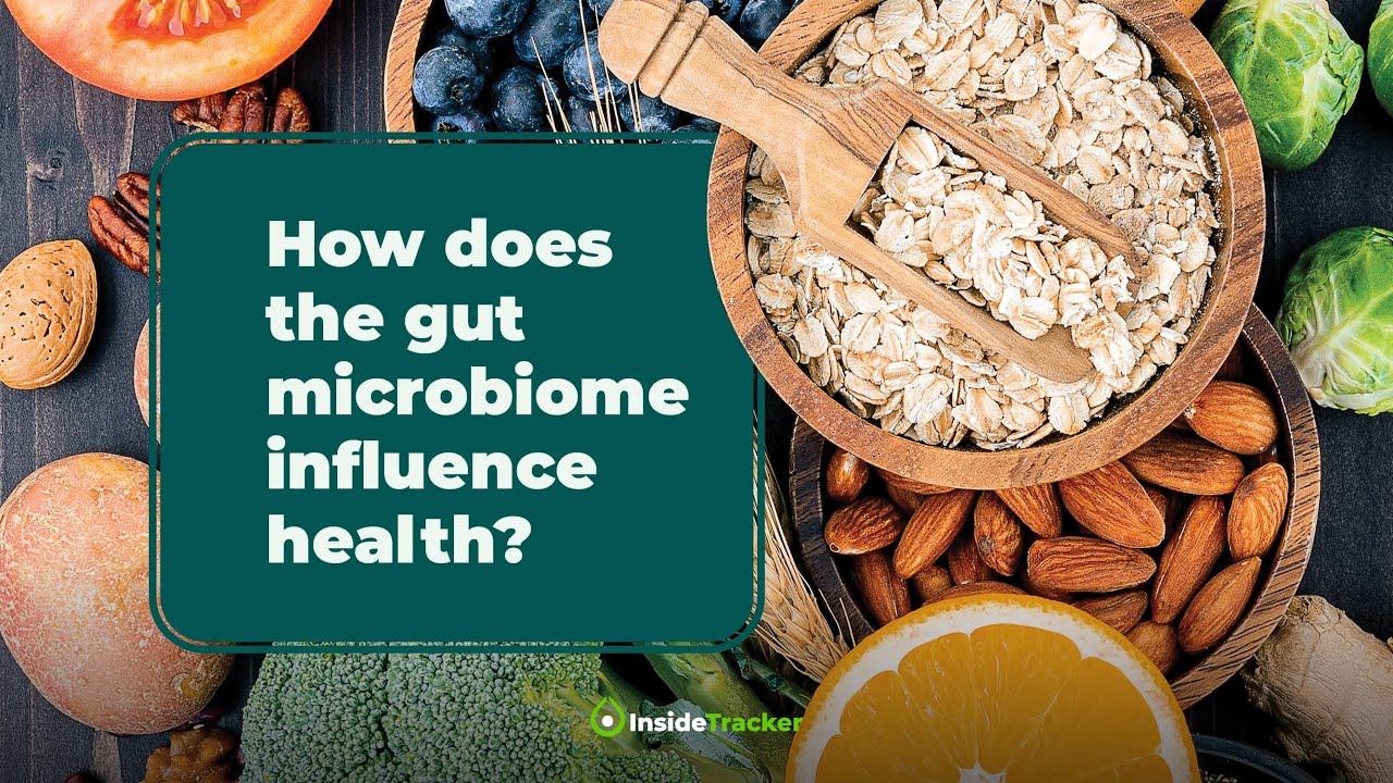 What Roles do the Gut Microbiome Play on Our Health?