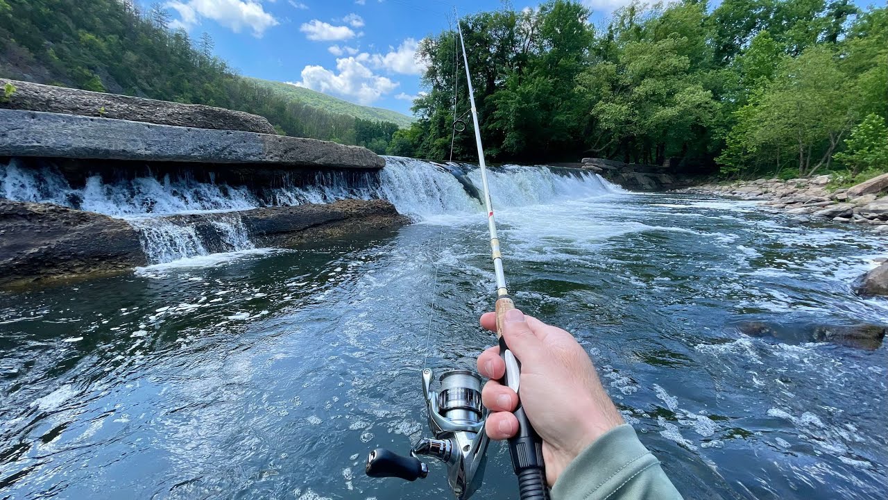 River Fishing for ANYTHING That Bites!