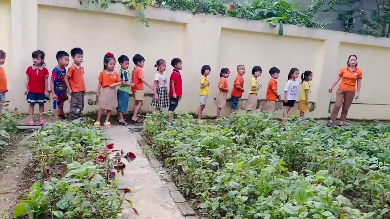 vườn rau 5 tuổi