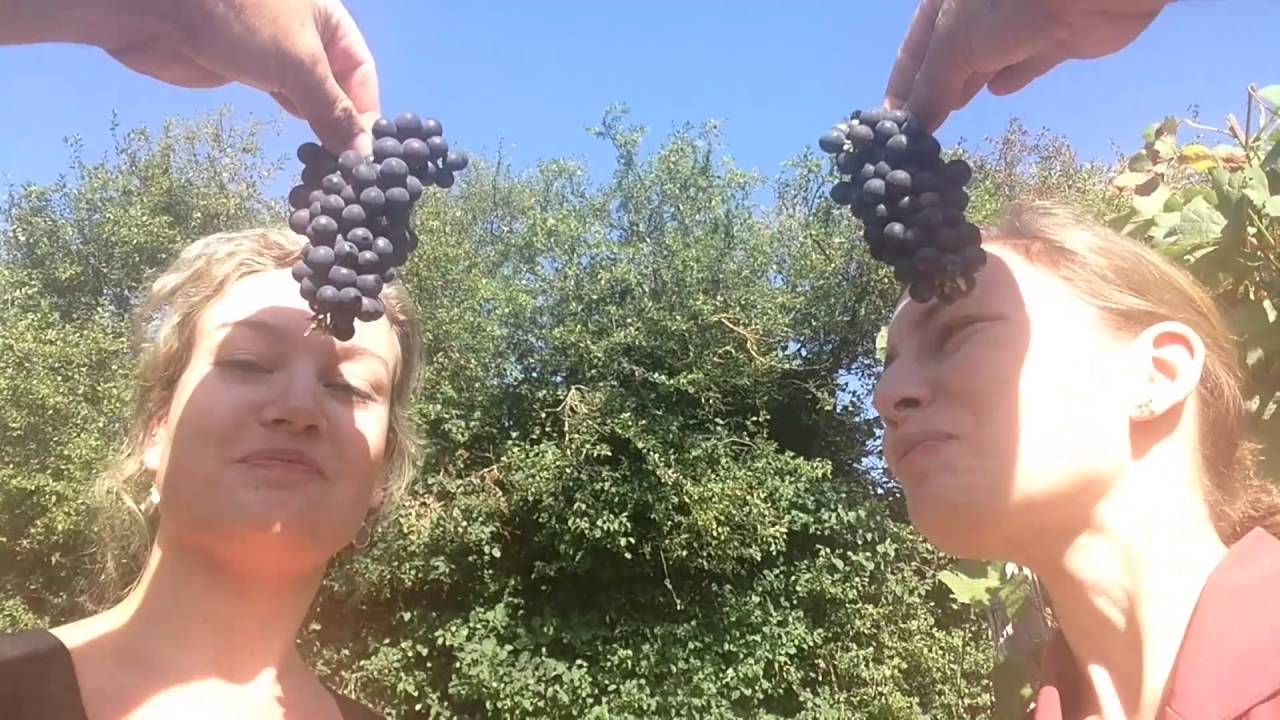 Vlog #14 VVV Zuid-Limburg - Zuid-Limburgse Wijn